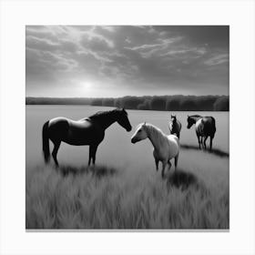 Horses In The Field 10 Canvas Print