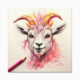 Goat Head 13 Canvas Print