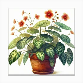 Hibiscus Canvas Print