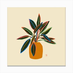 Plant With Colourful Leaves Square Canvas Print