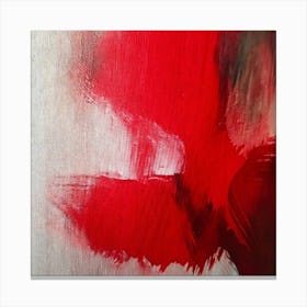 Passionate art Canvas Print