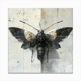 'Moth' Canvas Print