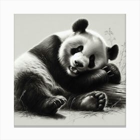 Panda Bear 3 Canvas Print