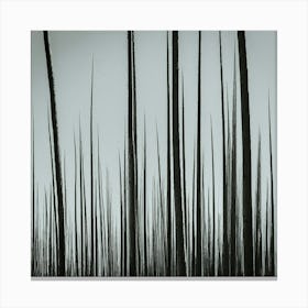 'The Trees' Canvas Print