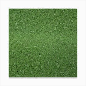 Green Grass 15 Canvas Print