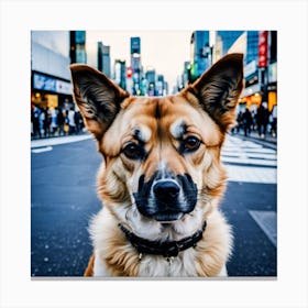 Dog In Tokyo Canvas Print