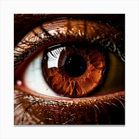 Brown Eye Human Close Up Pupil Iris Vision Gaze Look Stare Sight Close Macro Detailed (3) Canvas Print