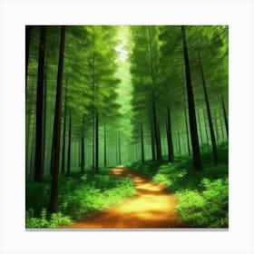 Path In The Forest Canvas Print