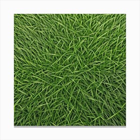 Grass Background 3 Canvas Print