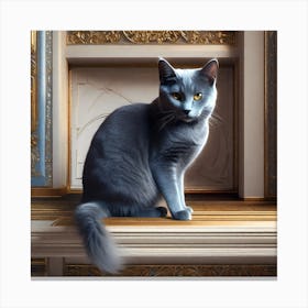 British Cat Canvas Print