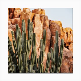 Desert Canyon Cactus Canvas Print