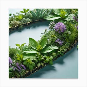 Garden Of Herbs Canvas Print