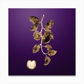 Gold Botanical Apricot on Royal Purple n.0794 Canvas Print
