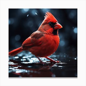 Red Cardinal In The Rain Canvas Print
