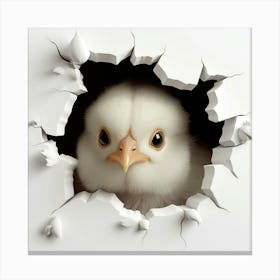 Chick Peeking Out Of Hole Canvas Print