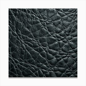 Closeup Of Black Leather Texture Canvas Print