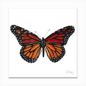 Butterfly. 1 Canvas Print