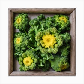 Florets Of Broccoli 16 Canvas Print