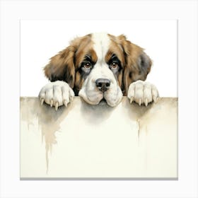 St Bernard Dog 3 Canvas Print