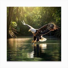 Bald Eagle In Flight Canvas Print