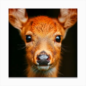 Close Up Of A Deer Canvas Print