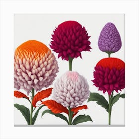 Chrysanthemums myluckycharm 1 Canvas Print