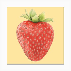 Summer Strawberry Square Canvas Print