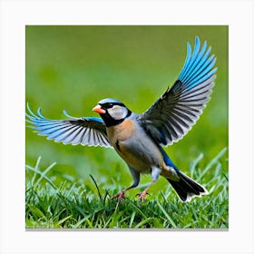 Blue Finch Canvas Print