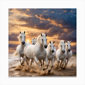 White Horses Running On The Beach At Sunset Canvas Print