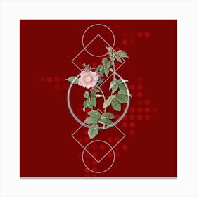 Vintage Big Flowered Dog Rose Botanical with Geometric Line Motif and Dot Pattern n.0221 Canvas Print