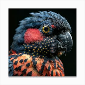 Cockatoo 12 Canvas Print