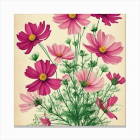 Cosmos 3 Floral Botanical Vintage Poster Flower Art Print Pink Cosmos Canvas Print