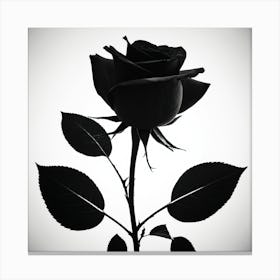 Black Rose modern art Canvas Print