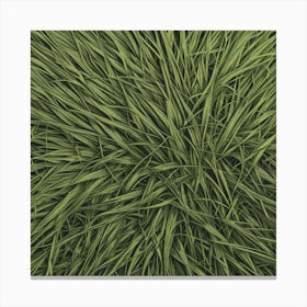 Grass Background 35 Canvas Print