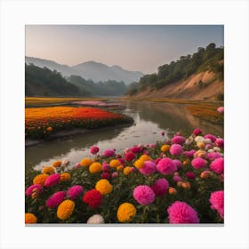 Thailand Flower Field Canvas Print