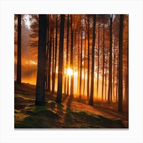 Sunrise In The Forest 32 Canvas Print