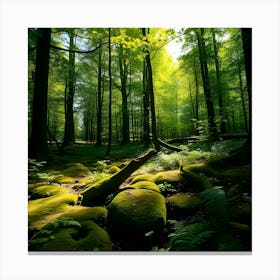 Mossy Forest 6 Canvas Print