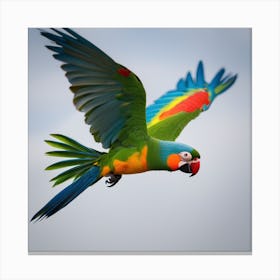 Parrot In Flight Canvas Print