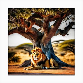 Lion Under A Tree 7 Canvas Print