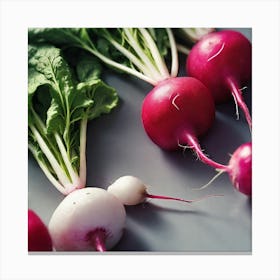 Radishes 34 Canvas Print