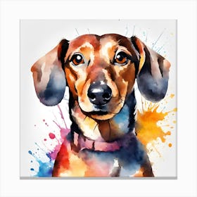 Dachshund, National Pet Day! Canvas Print