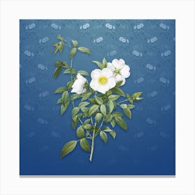 Vintage White Rose of Snow Botanical on Bahama Blue Pattern n.1997 Canvas Print