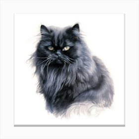 Black Persian Cat Portrait Canvas Print