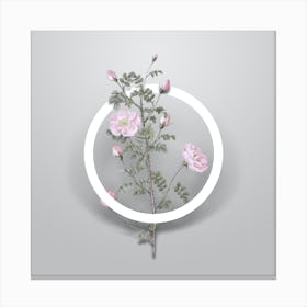 Vintage Pink Scotch Briar Rose Minimalist Flower Geometric Circle on Soft Gray n.0041 Canvas Print
