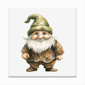 Gnome 17 Canvas Print