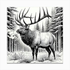 Line Art elk 2 Canvas Print