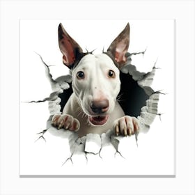 Bull Terrier Canvas Print