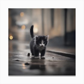 A Black And White Homeless Little Kitten Canvas Print