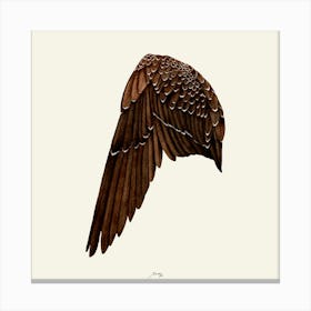 Wing Anatomy Canvas Print