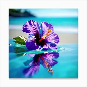 Blue Sea and Purple Hibiscus Flower in the Sun Canvas Print